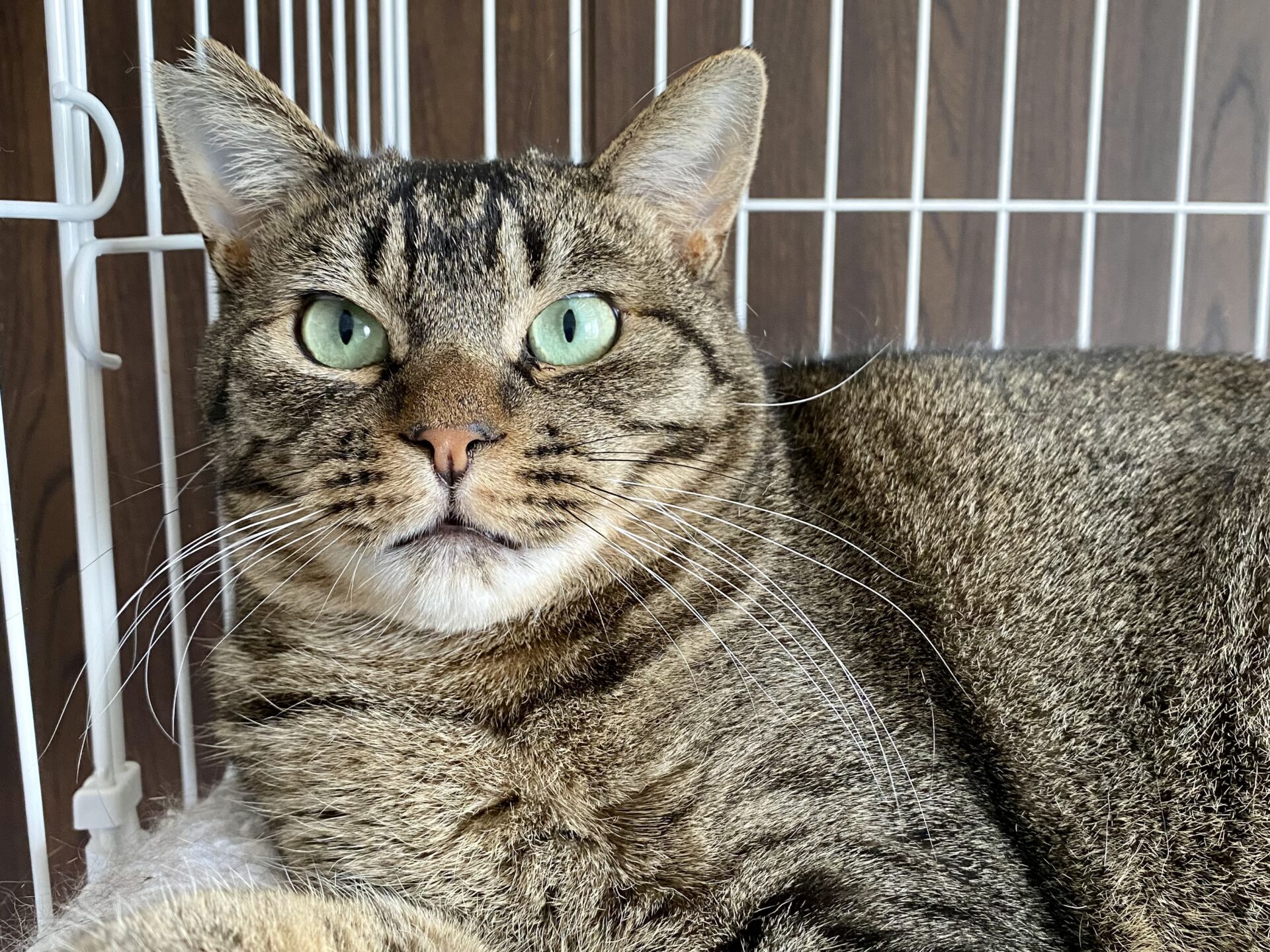 F7691116-C5B8-4BA0-82E0-20D898C3706F