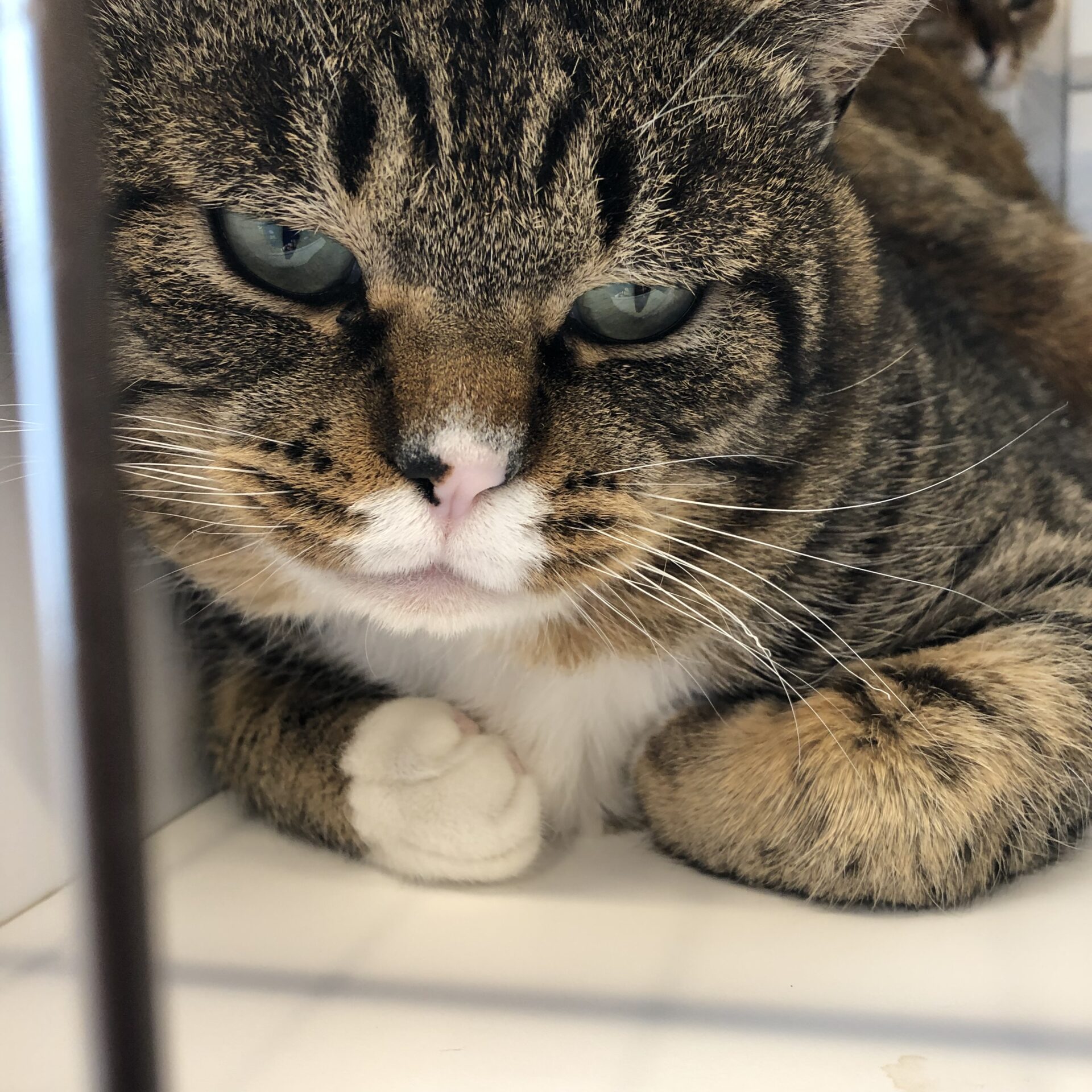 FD378960-309A-46AF-92A3-A7690298650C