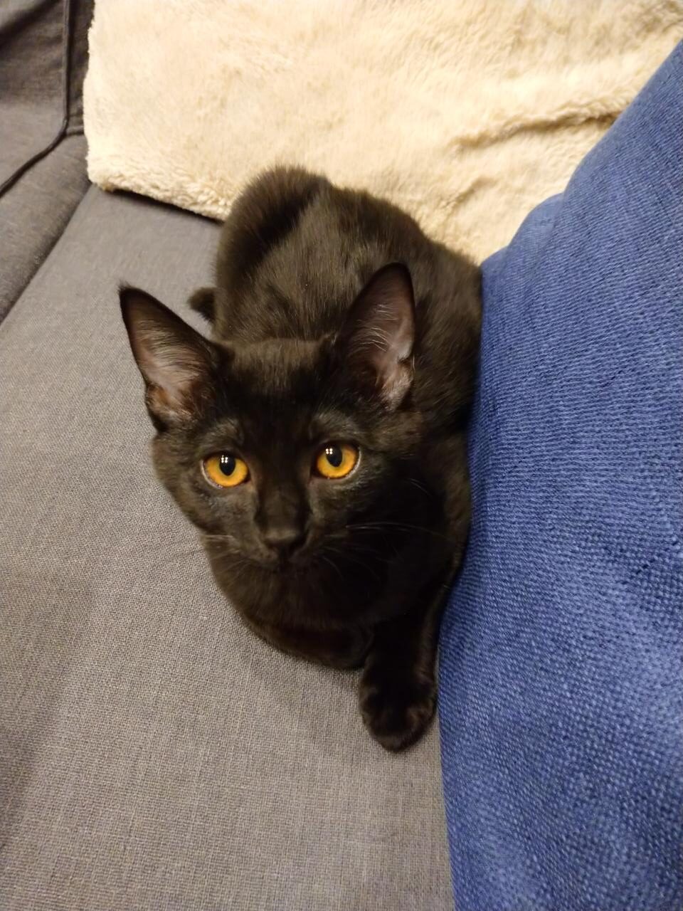 saved_file_1675393690697