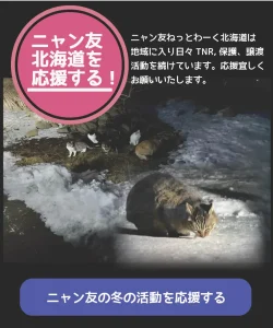 にゃん友北海道を応援する！