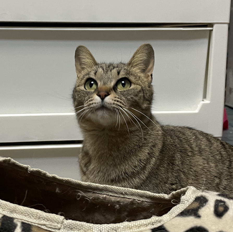 26D701BF-6D09-45FD-B838-C3D50703B433