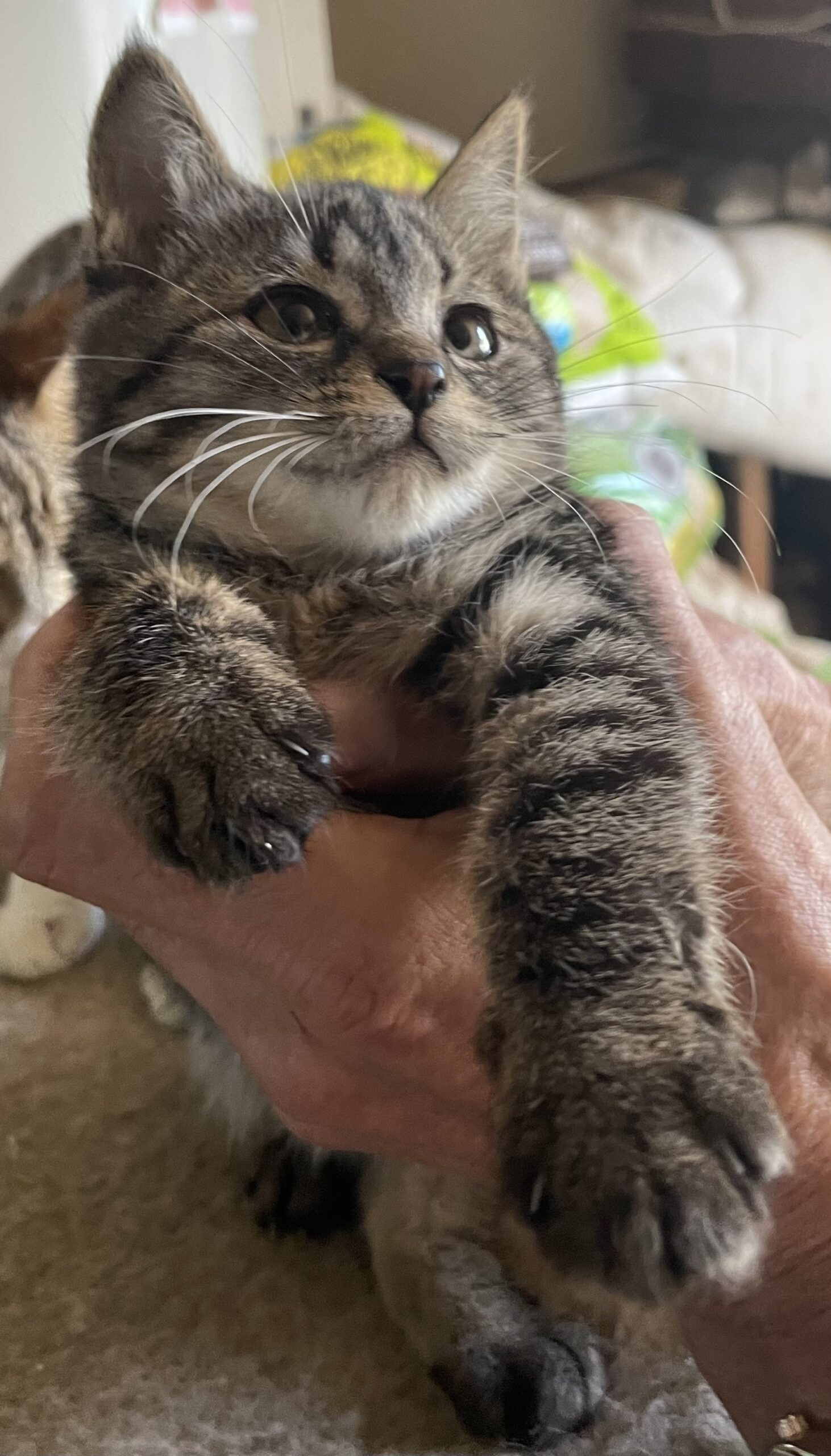 421D3489-C83C-46D0-B9A3-769994E9B33F