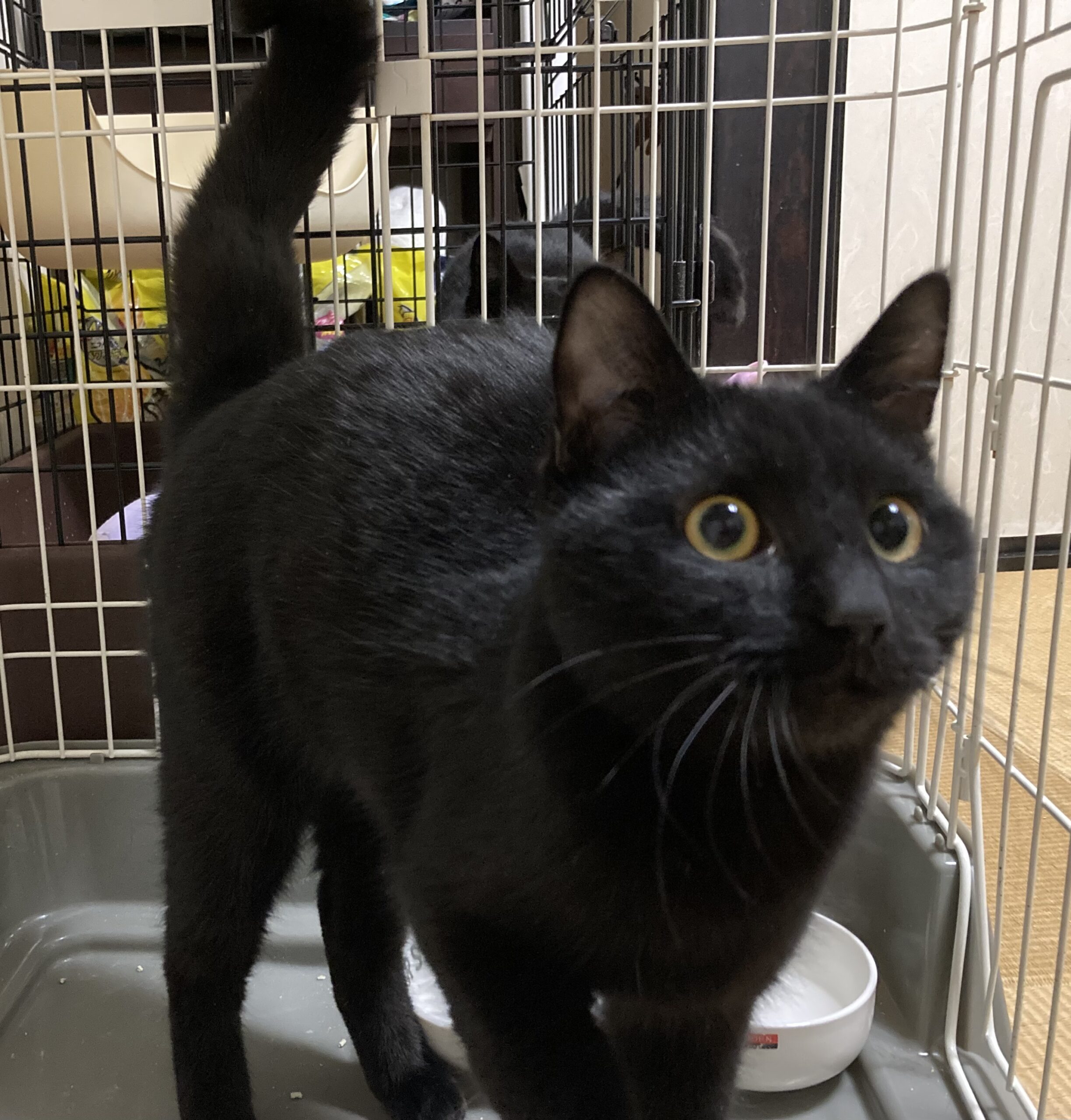 51228835-7AEF-4839-B936-39FFC8C67667