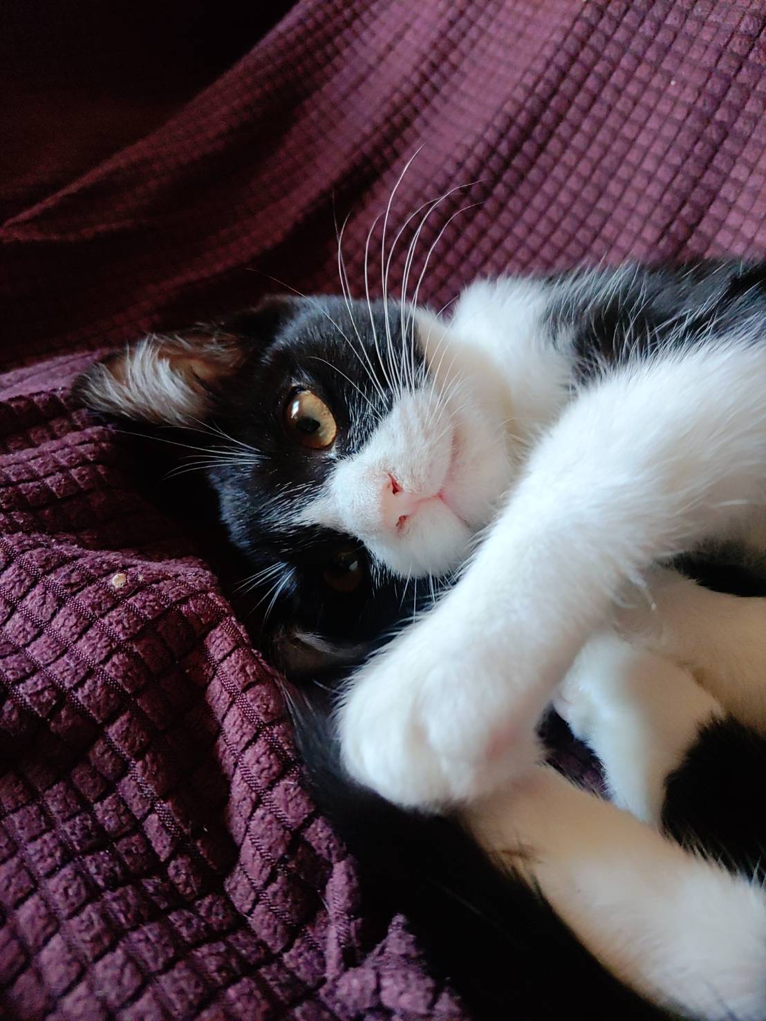 A25874B4-0916-4FF1-B035-BE338AA8C320