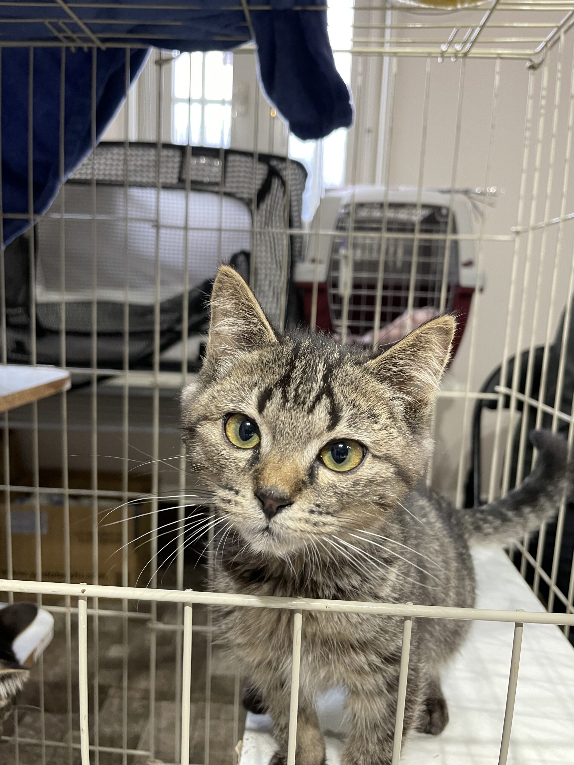 B1EDF312-9DF8-42F3-BA4B-5617ECAB09A4