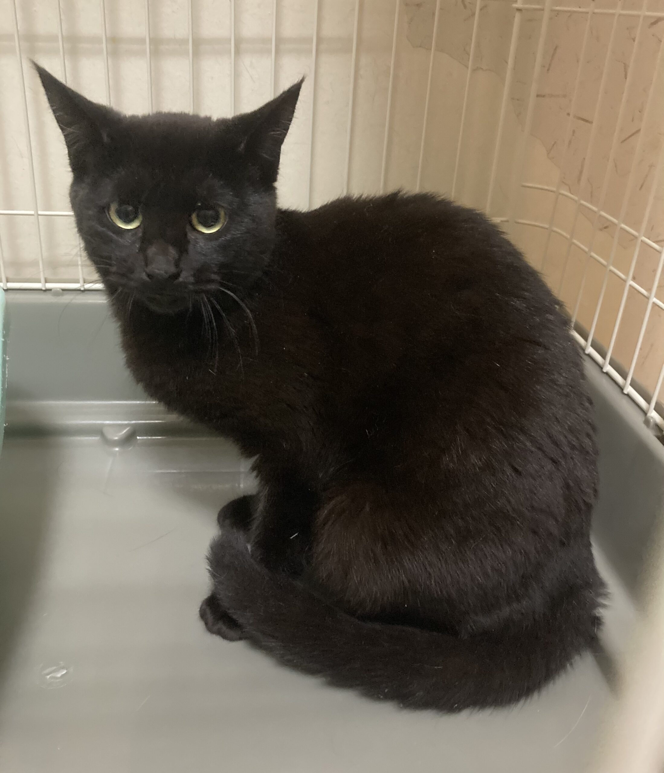 E2BE27B4-9965-438D-82D3-E5E8C581663B