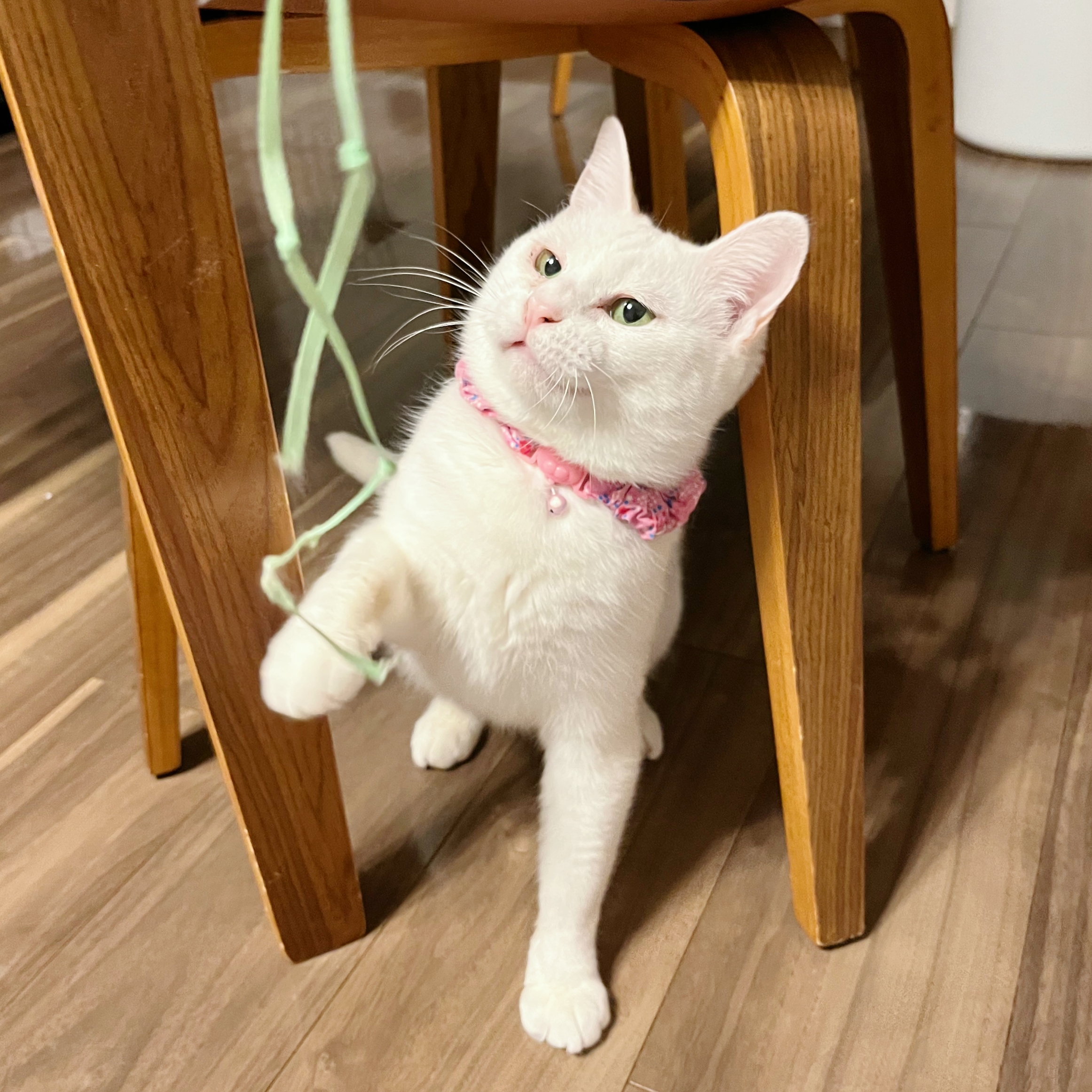 MTXX_MH20230302_002103030