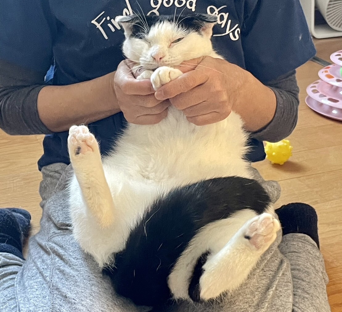 605237F6-3EE0-460C-931A-9F2CCC7623B2