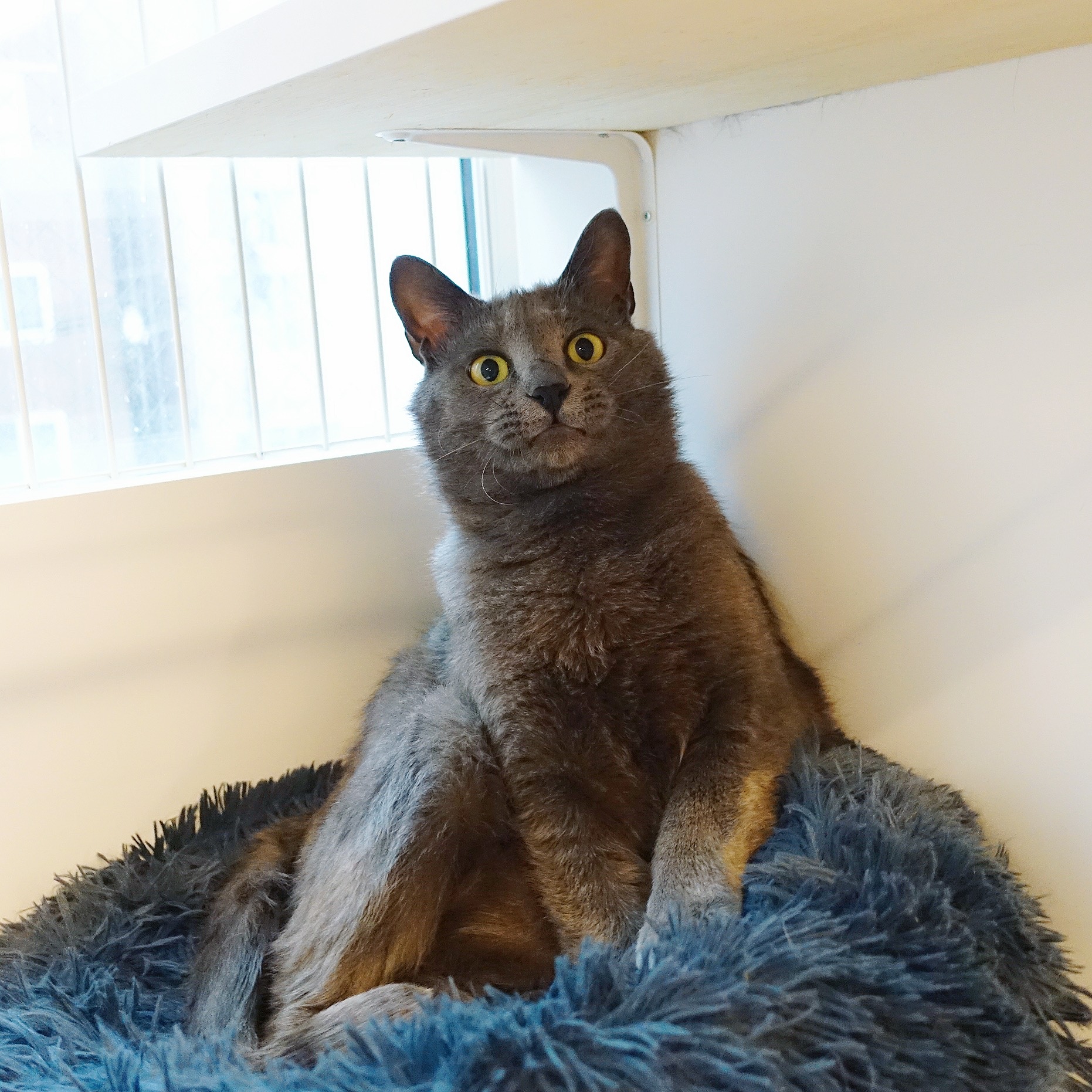 89385DA5-0BAF-402D-B5BB-C5B9458D98F3