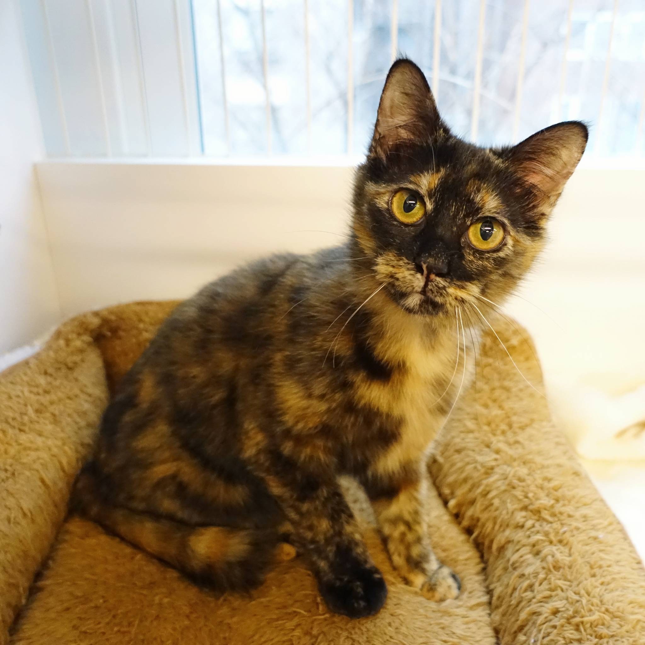 97091C7B-59D7-44EA-B54F-2DA82D355B32