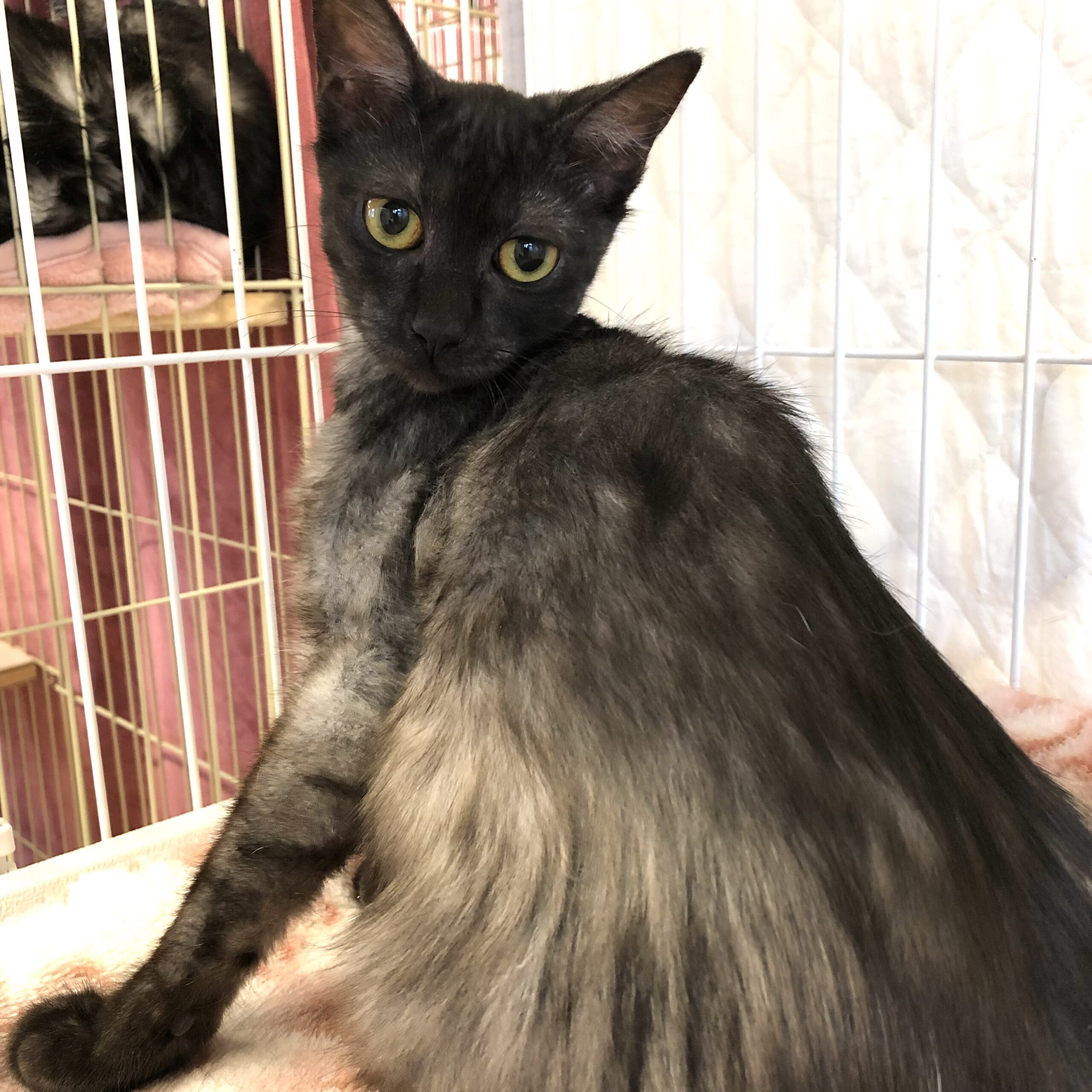 981027FA-98E8-4705-A820-FBF47CEAFE86