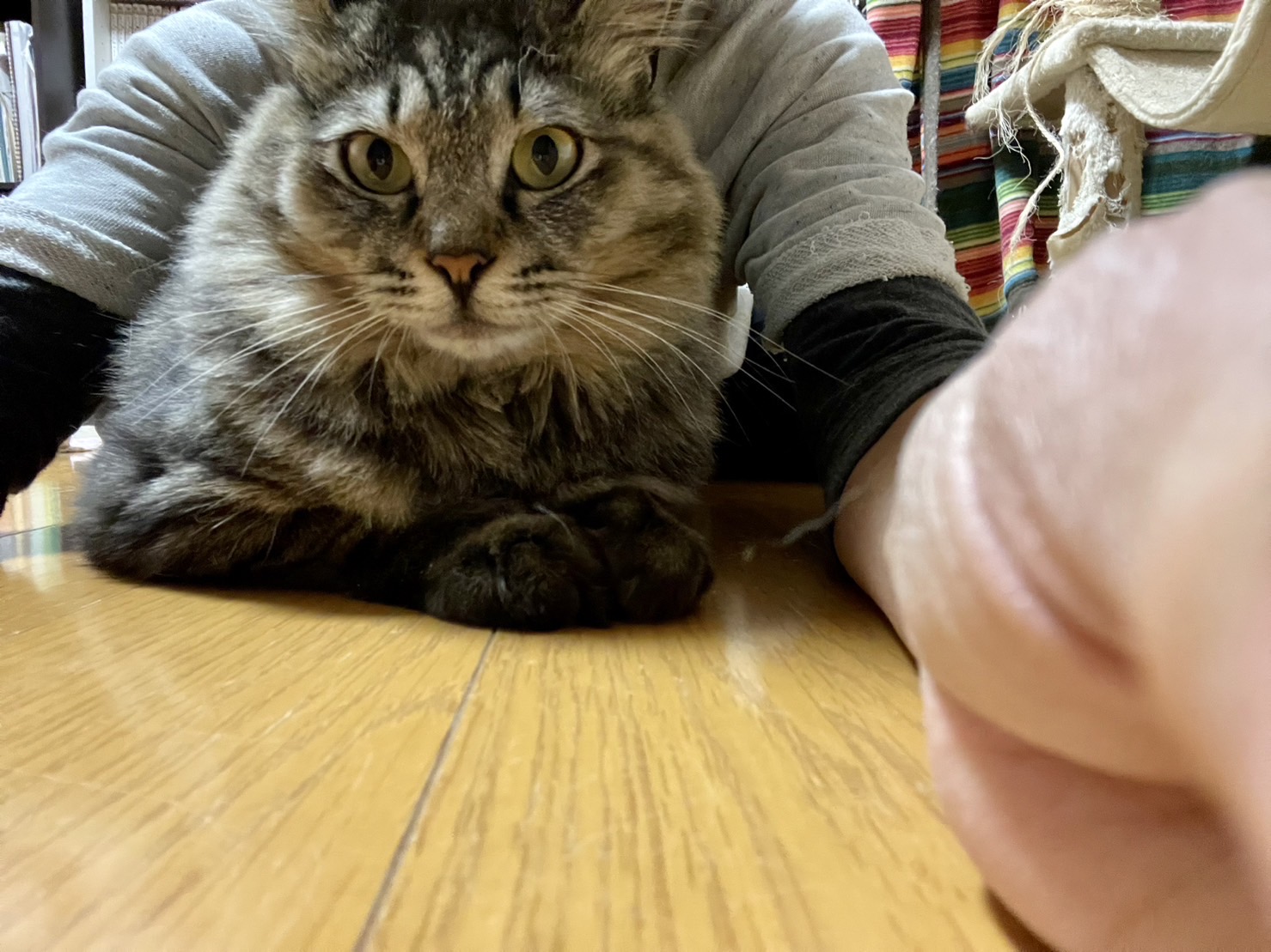 AA4F4160-52D2-47CF-AAAF-CB2D067EE9AC