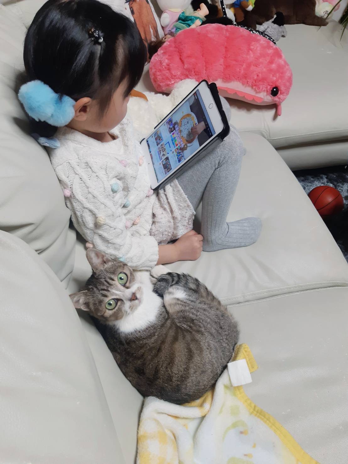 FD68550B-45A0-4DCD-B835-26F7EF2417B1