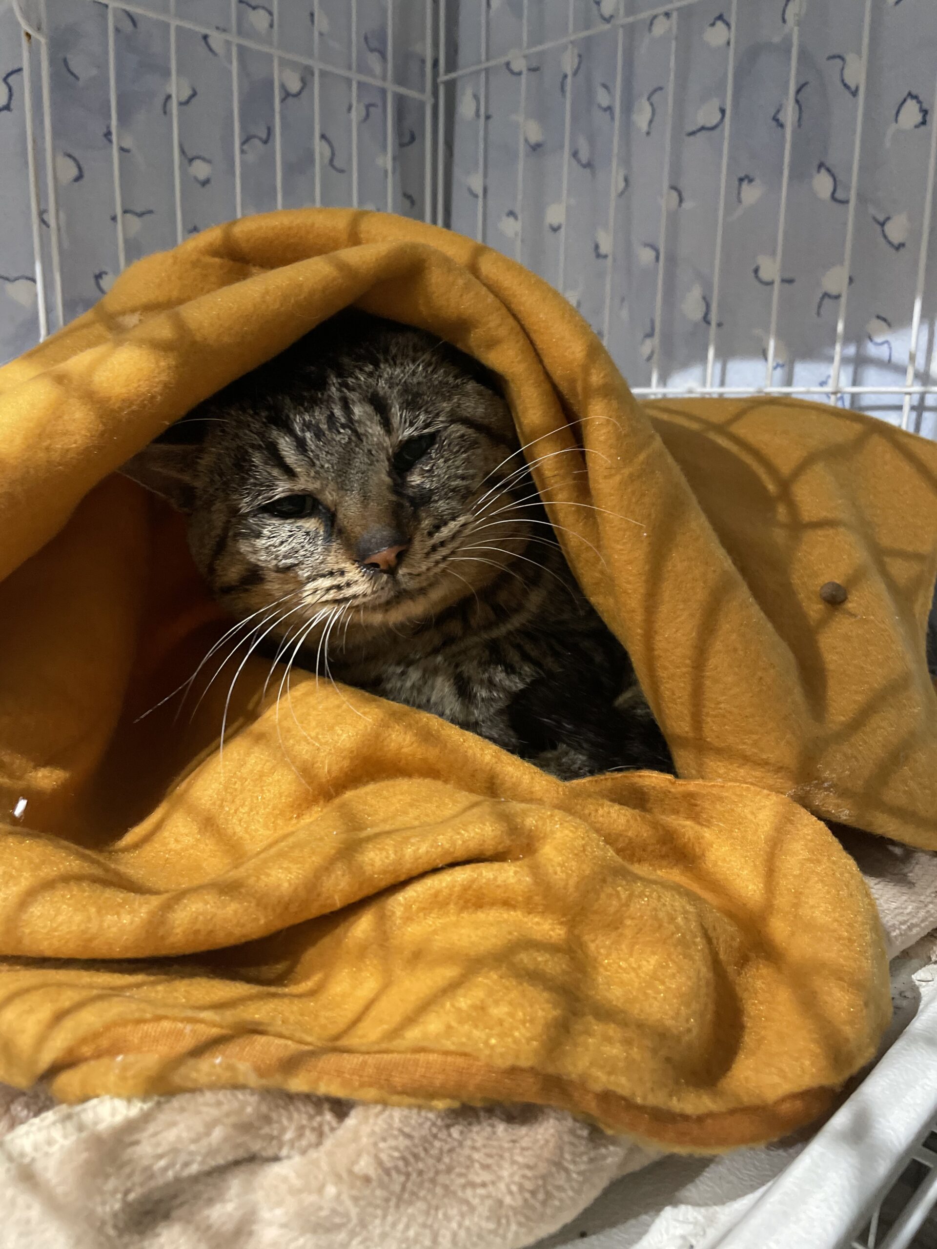 32DA8B39-3F18-482A-A53A-A5E92AE9915A