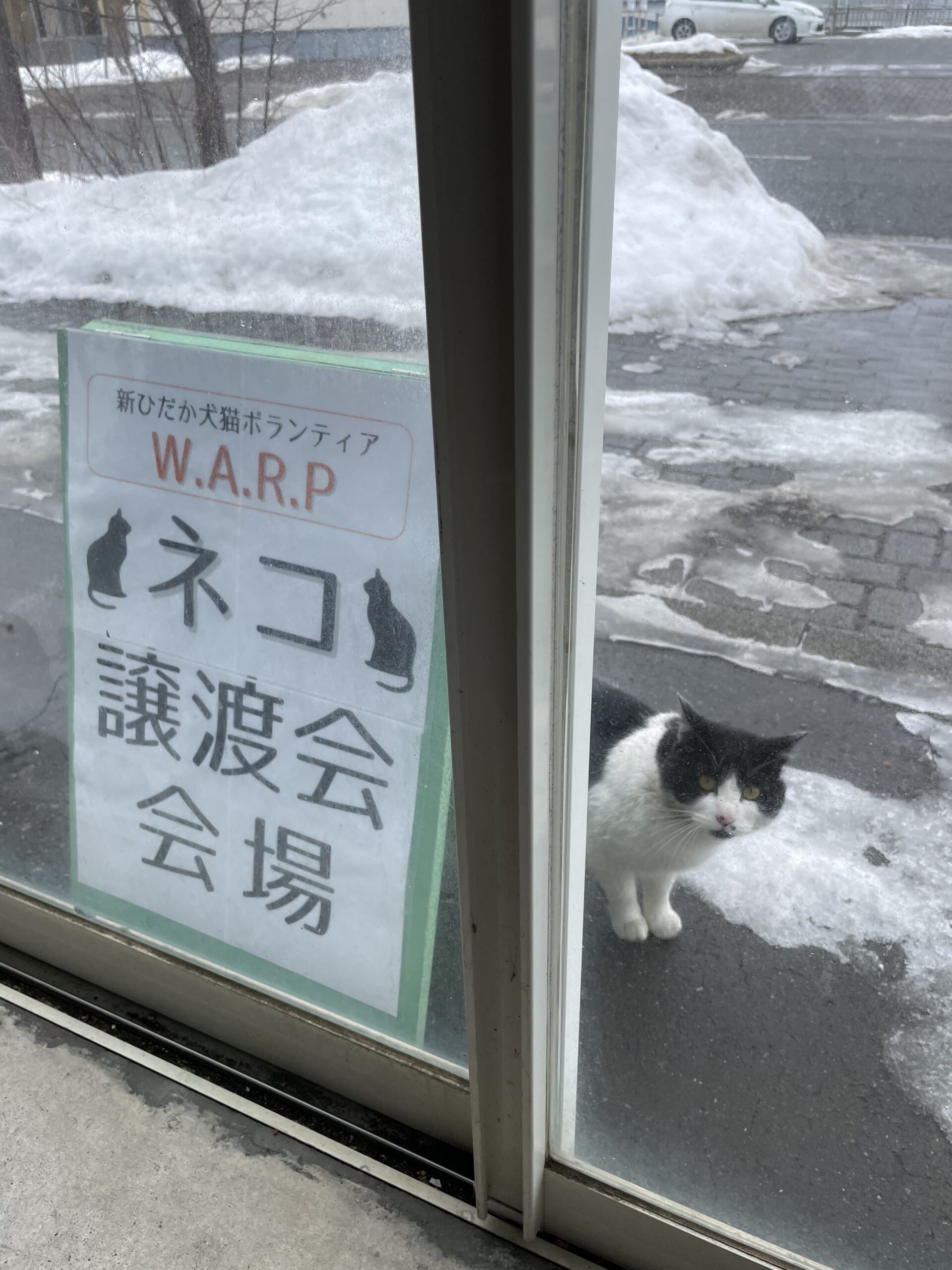 4D7A94DA-6C62-4441-967F-AFCE227389F9