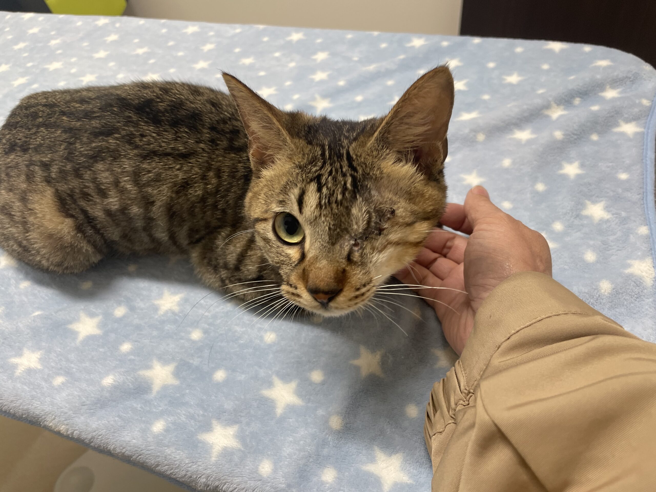 4FC37BBD-494A-4FB9-B48C-C9F732B534F9