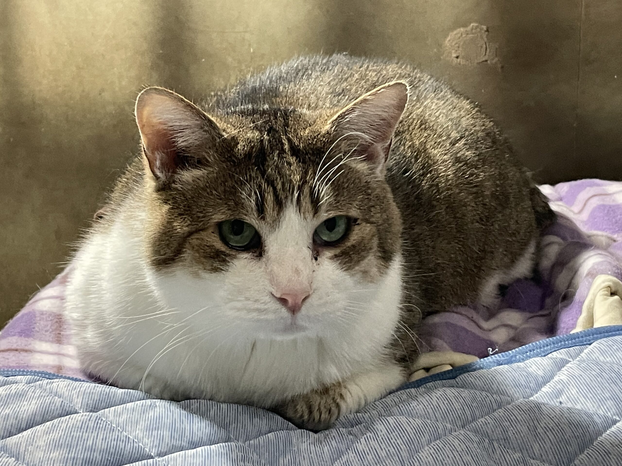 B409161D-585B-4475-BEA3-B1BAAD7EFB13