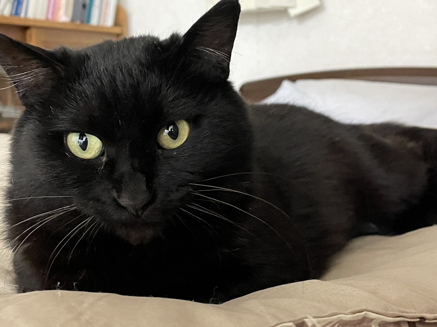 C4443433-3F38-4CD8-84CE-13356770EFED