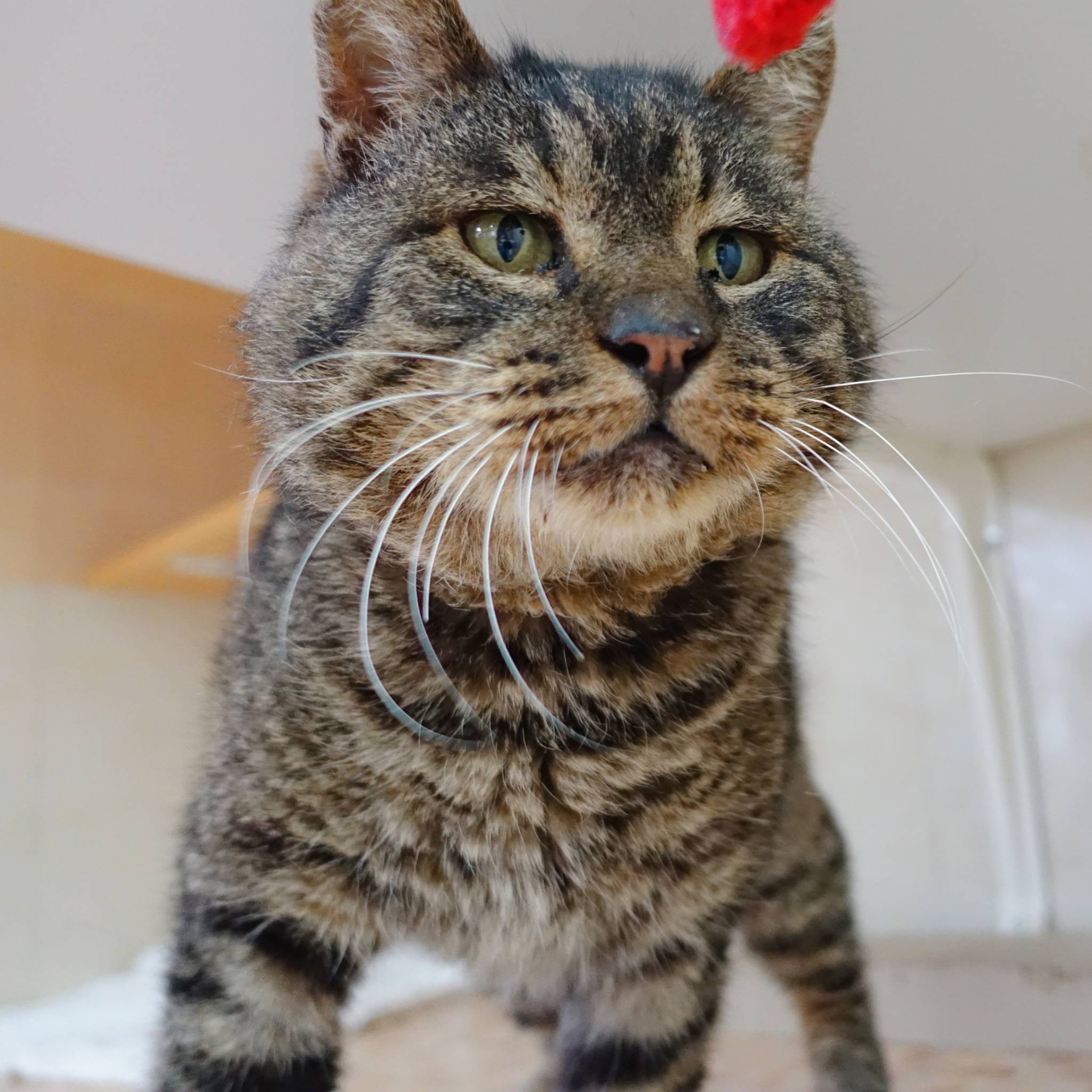 CCE8606B-B1A6-42B6-AD1C-5740CC3C8210