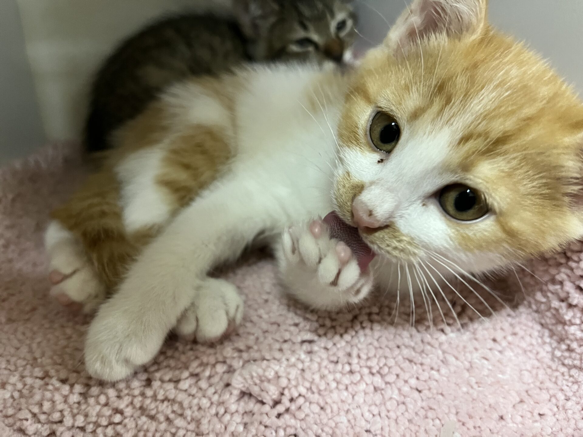 9B8415FD-610F-4BD6-BC6B-3A0ABEB8CD45